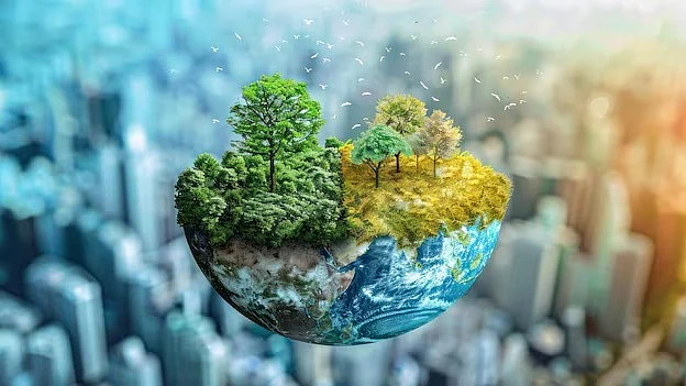 Climate change, renewable energy, and Gulf Cooperation Council stock market dynamics: A quantile vector autoregression and wavelet quantile framework