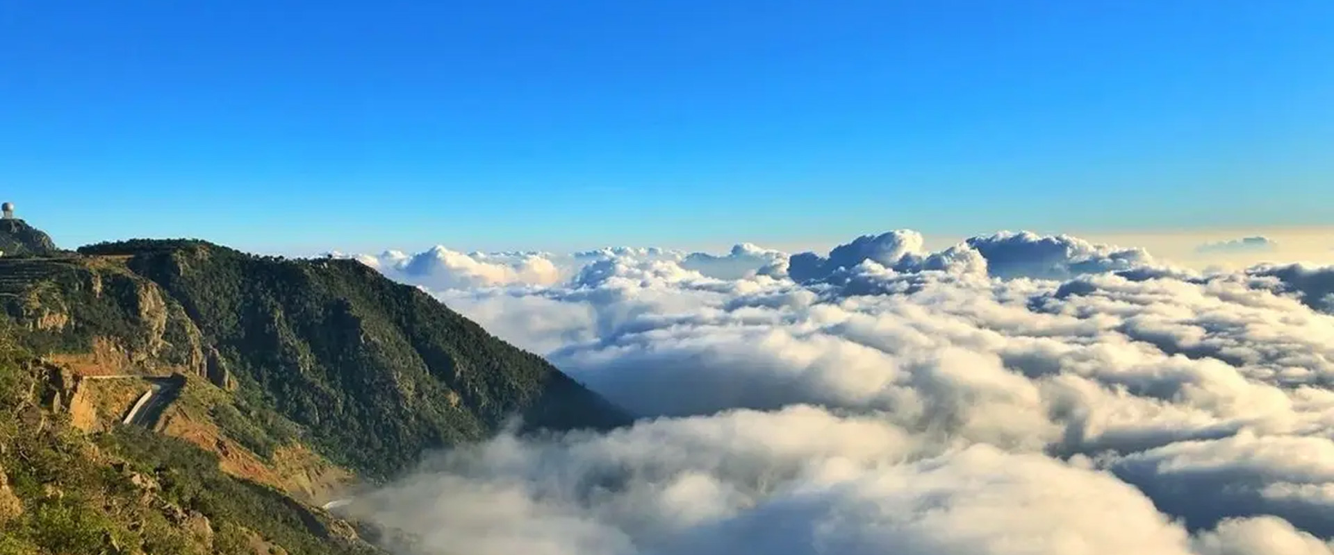 GCC climate change economic impacts and forecasts